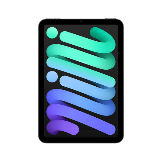 iPad_mini_Space_Gray_PDP_Image_Position_1_WiFi__FRFR
