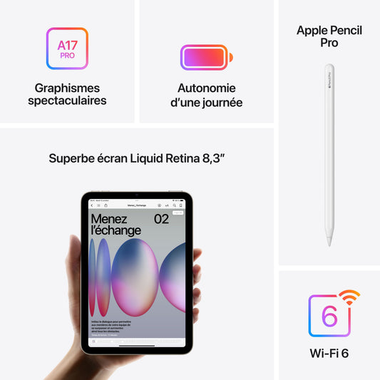 iPad mini (A17 Pro) - Wi-Fi - 512 Go - Mauve