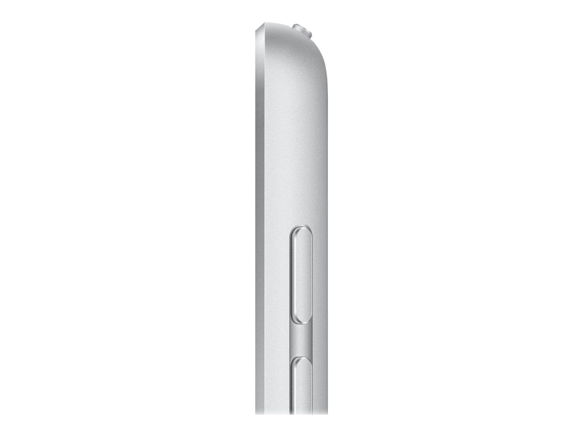 iPad 10,2" - 2021 - 256 Go - Argent