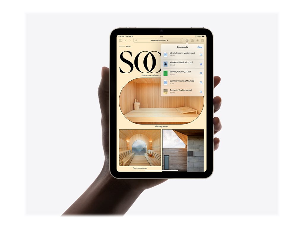 iPad mini - 2021 - 8,3" - 64 Go - Lumière stellaire