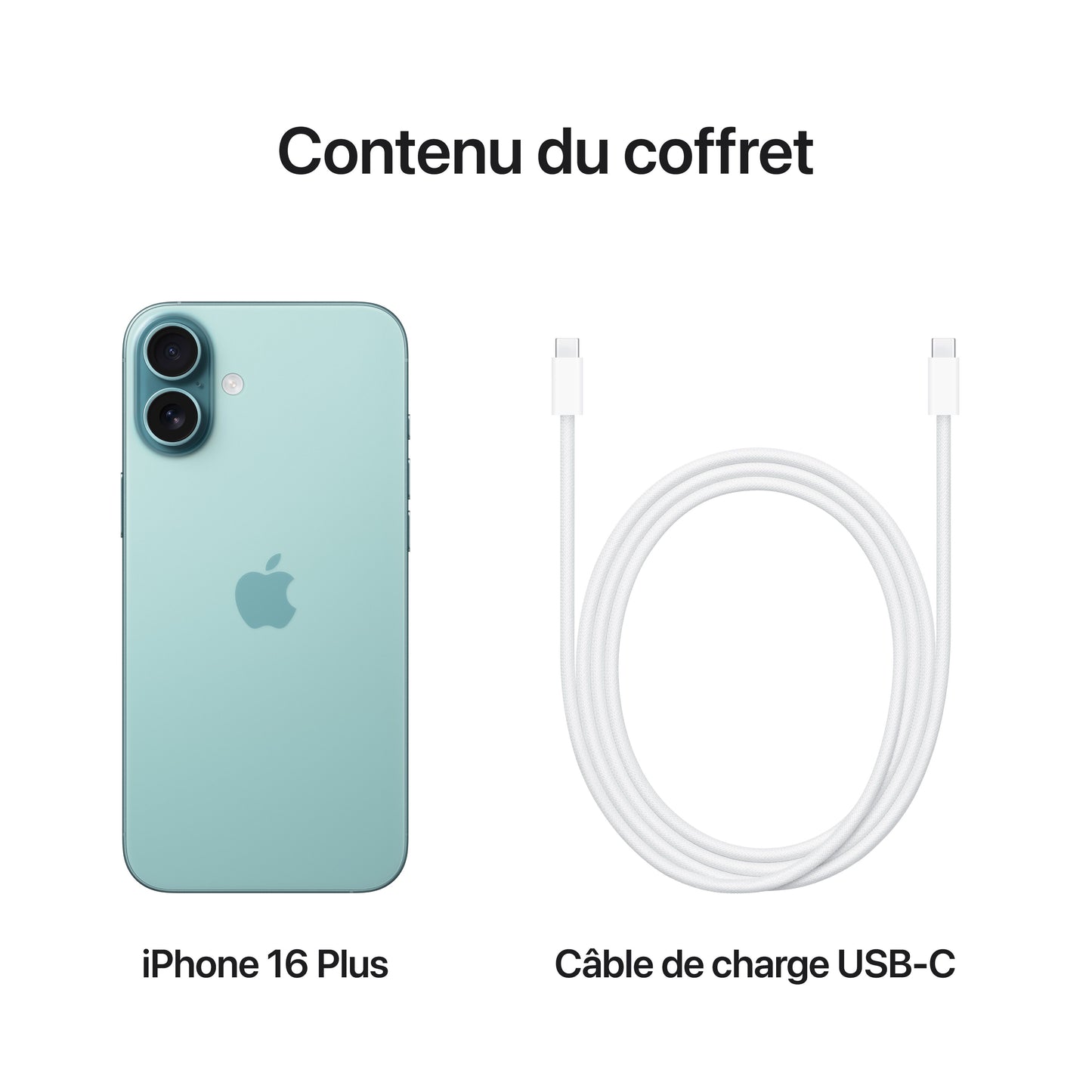 iPhone_16_Plus_Teal_PDP_Image_Position_8__FRFR