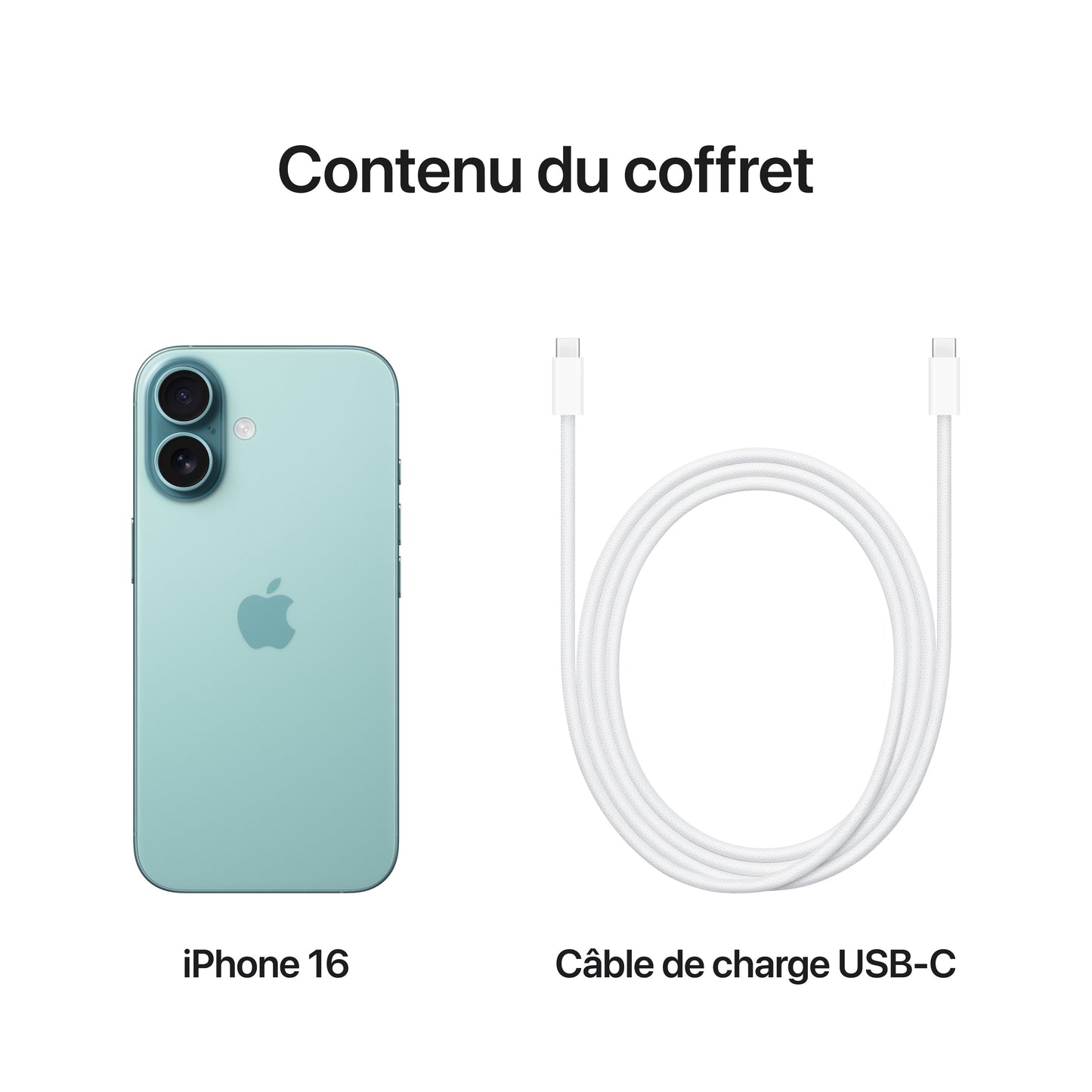 iPhone_16_Teal_PDP_Image_Position_8__FRFR