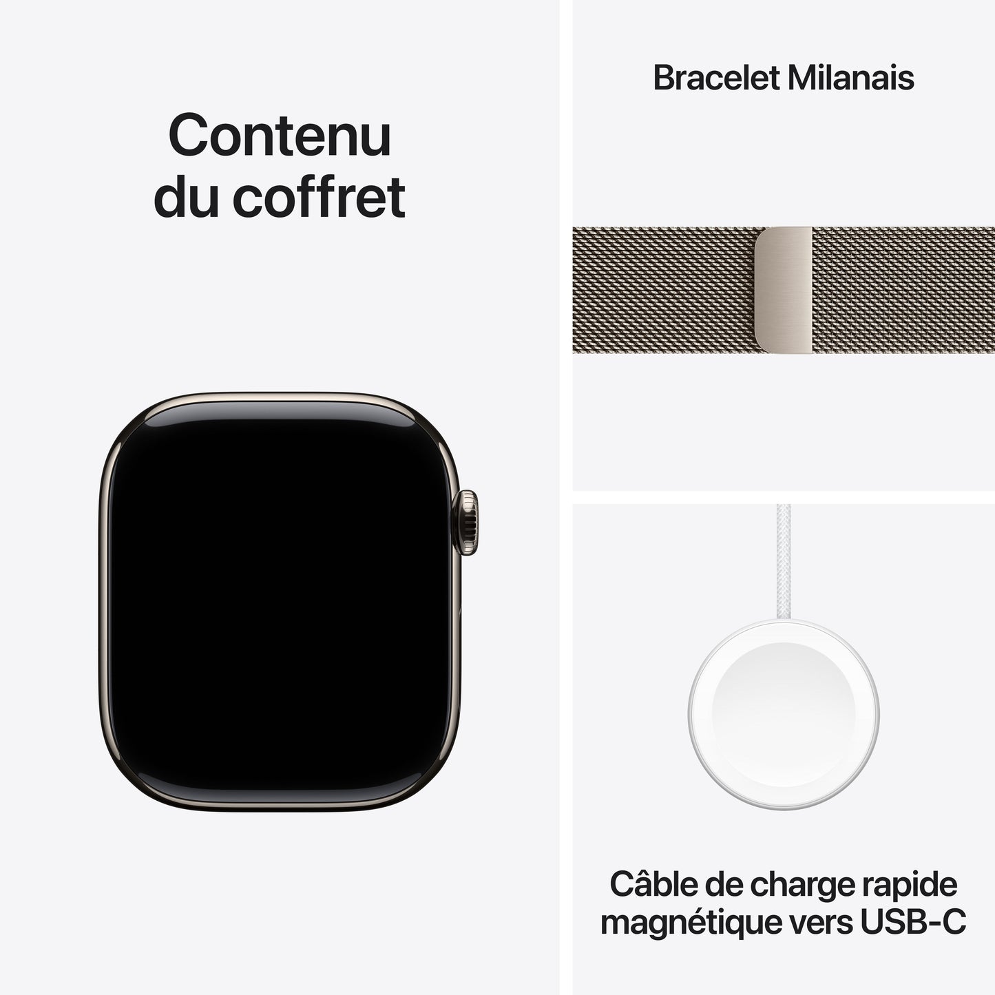 Apple_Watch_Series_10_46mm_LTE_Natural_Titanium_Milanese_Loop_Natural_PDP_Image_Position_9__FRFR