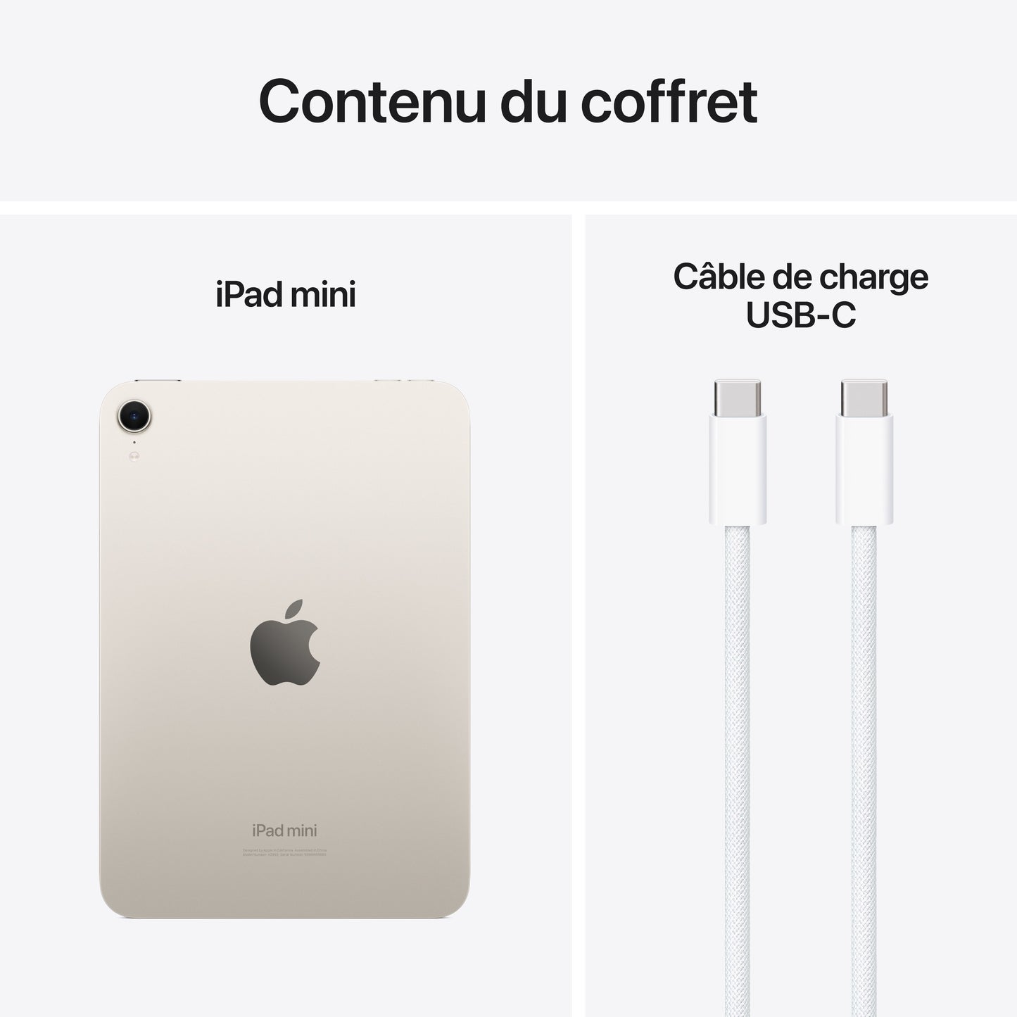 iPad_mini_Starlight_PDP_Image_Position_10_ALT_WiFi__FRFR