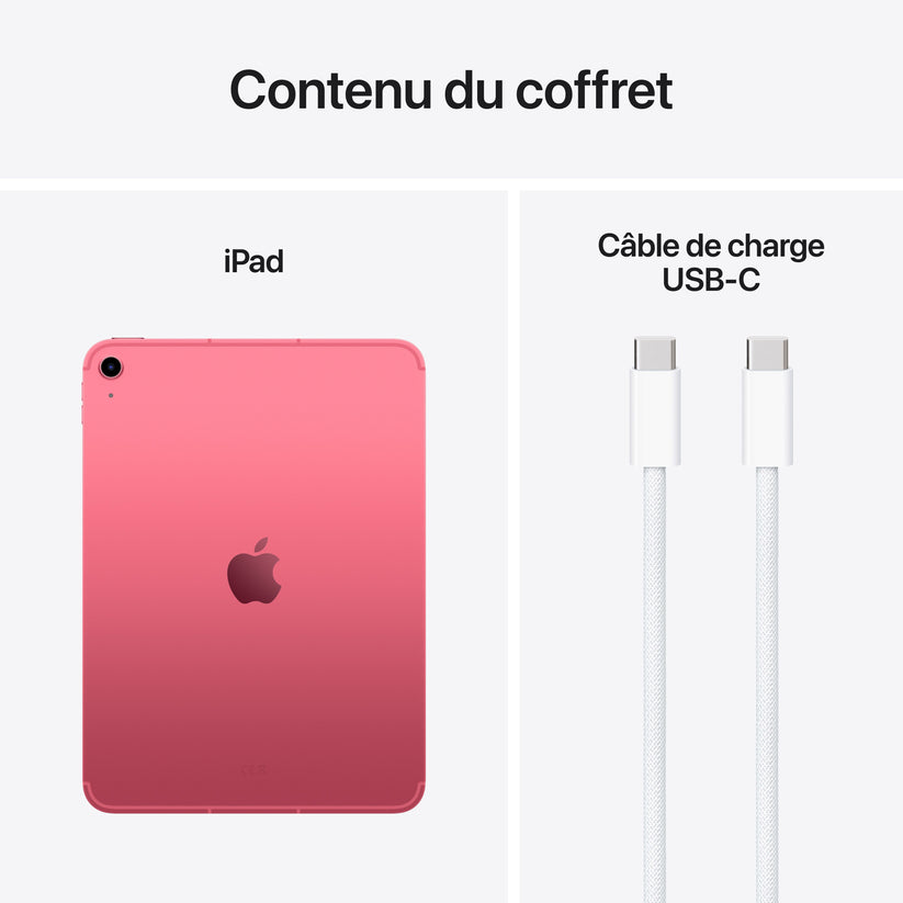 iPad_A16_Cellular_Pink_PDP_Image_Position_8__FRFR