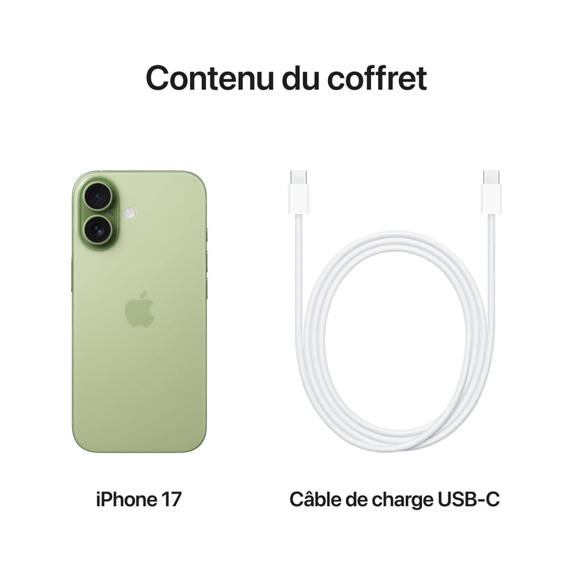 iPhone_17_Sage_PDP_Image_Position_8__FRFR