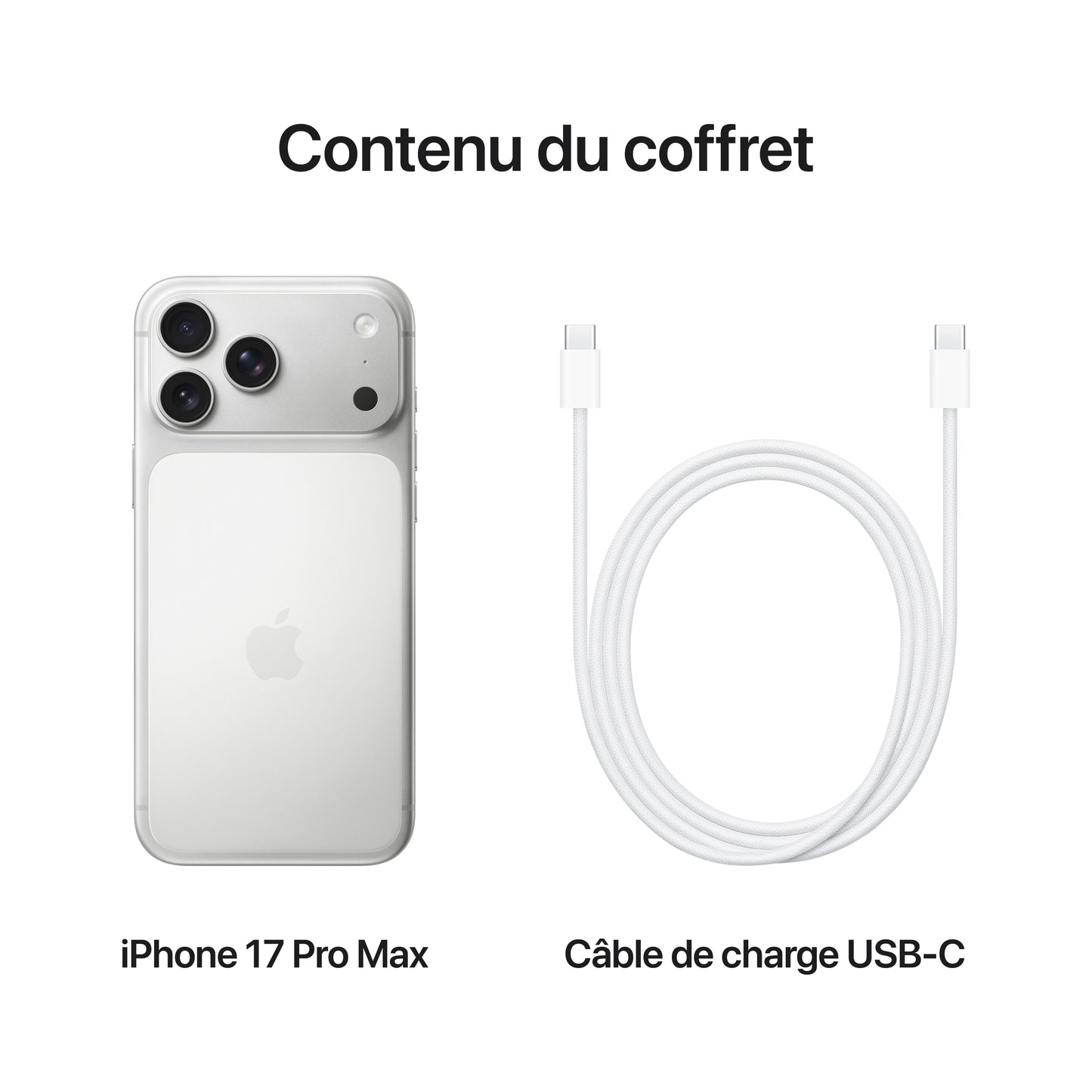 iPhone_17_Pro_Max_Silver_PDP_Image_Position_8__FRFR