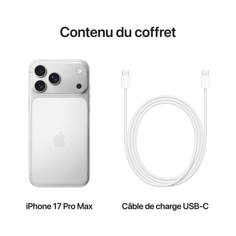iPhone_17_Pro_Max_Silver_PDP_Image_Position_8__FRFR