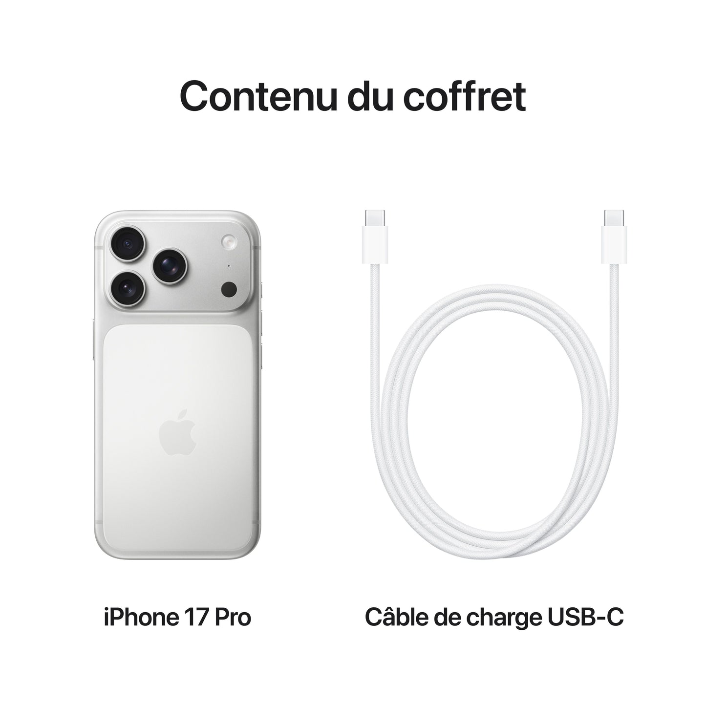 iPhone_17_Pro_Silver_PDP_Image_Position_8__FRFR