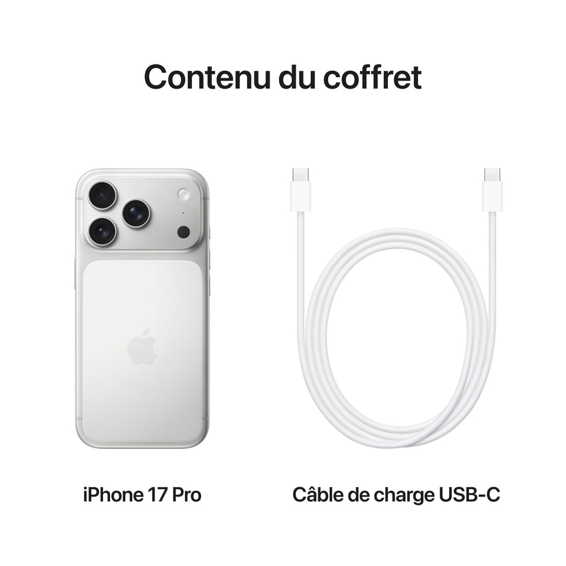 iPhone_17_Pro_Silver_PDP_Image_Position_8__FRFR