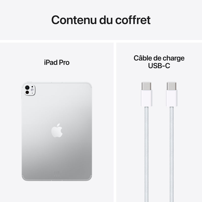 iPad_Pro_11-in_M5_Cellular_Silver_PDP_Image_Position_9__FRFR