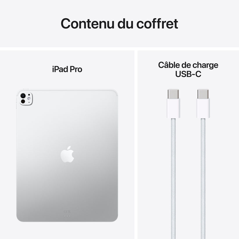 iPad_Pro_13-in_M5_WiFi_Silver_PDP_Image_Position_9__FRFR