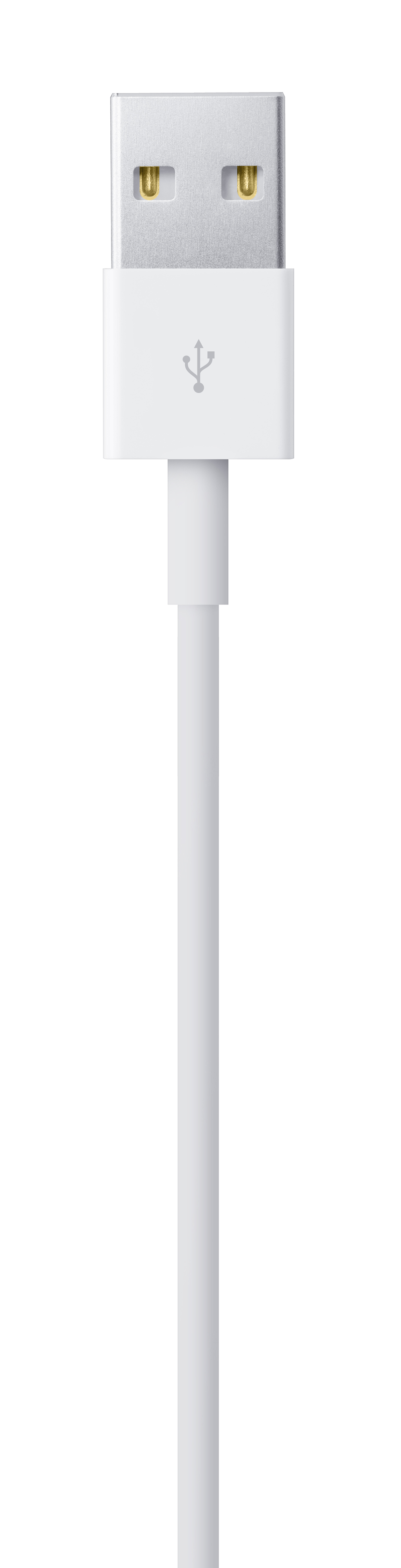 Câble USB-A vers Lightning - 1 m