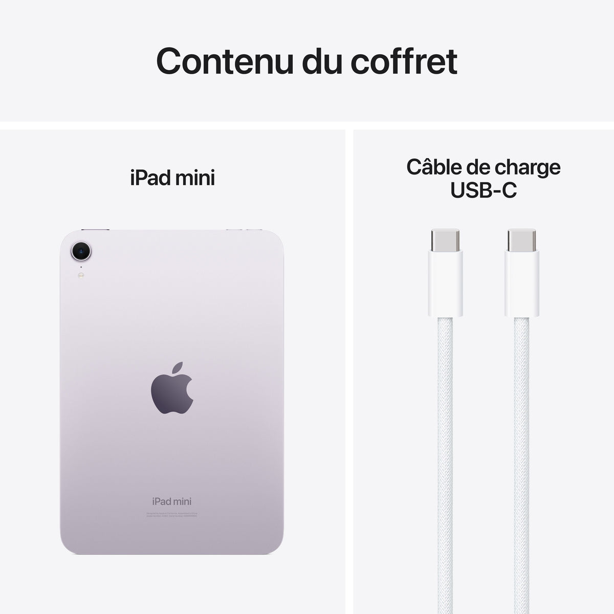 iPad mini (A17 Pro) - Wi-Fi - 512 Go - Mauve